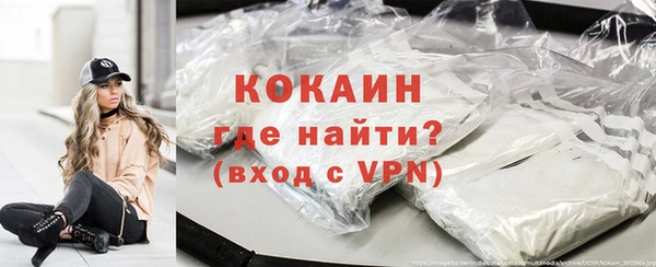 дмт Богданович