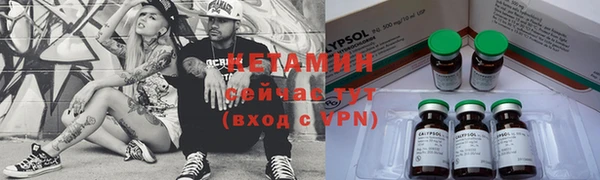 дмт Богданович