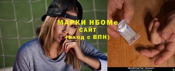 дмт Богданович
