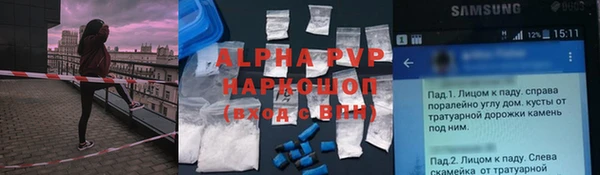 индика Богородицк