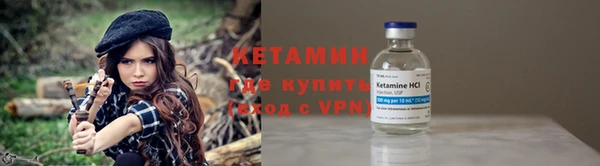 индика Богородицк