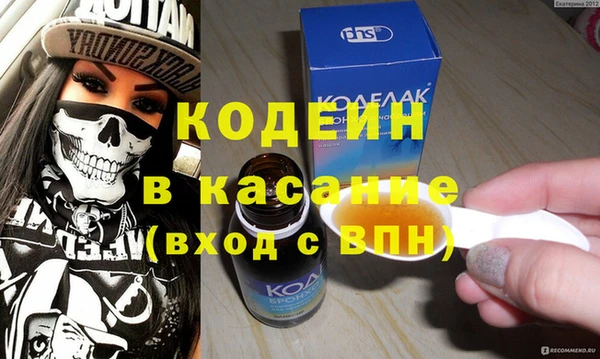 индика Богородицк
