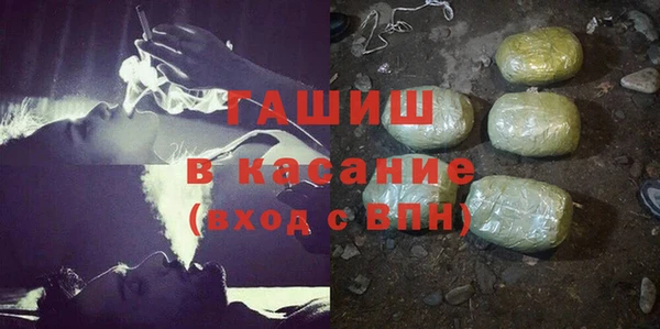 дмт Богданович