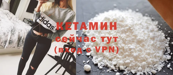 дмт Богданович
