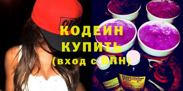 индика Богородицк