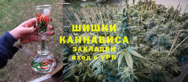 индика Богородицк