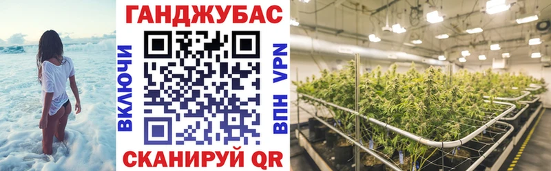 где найти   Кстово  Конопля гибрид 